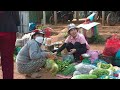 Harvesting Onions goes to the Market to Sell - Make a meat sandwich |Lucia Daily Life