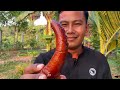 The Unique Way To Cook Braised Pork Belly With Egg Recipe - Cook And Eat - Cambodian Food Cooking