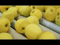 Most Satisfying Food Factory Process and Food Technology #4