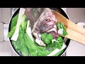 Pesang Tilapia (murang ulam) | How to cook pesang tilapia | Taste Buds PH