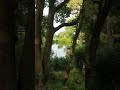 Wednesday evening pond life