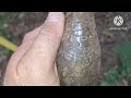 Arrowhead hunting flint chips and fishing big surprise catch outdoor adventure