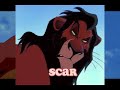 THE LION KING AND WARRIOR CAT SIMILARITY