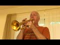 'Jesu - Joy of Man's Desiring' - trumpet noodle
