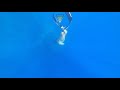 Azul Freediving: LC Wreck Busuanga, Palawan