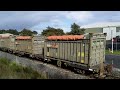 Kiwi Rail Freight Train Video 96