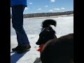 A Day on the Ice