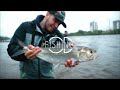 SHAD FISHING 101 (MONTREAL SHAD RUN TIPS & TRICKS)