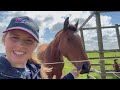 MEET MY NEW HORSE! – Collecting an unbroken 4 year old vlog - Red’s story – Potential event horse?