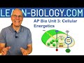 AP Bio Speed Review: All 8 Units in 56 Minutes