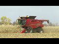 Harvest 2020 | Case IH 5140 Axial Flow Combine Harvesting Corn | Corn Harvest 2020