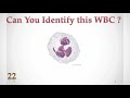WBC Identification Training  Quiz  ( Part 1/3 )