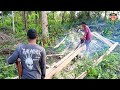 WOOW‼️COCONUT SAWMILL