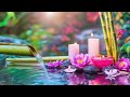 🌿 Tranquil Piano Sounds to Relieve Stress and Anxiety: Meditation, Spa, Sleep Music 🌿