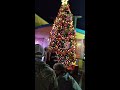 🌴Buoys on the Blvd🌴 Christmas Tree Lighting Ceremony Full Video 🎅🎄💖