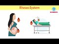 What are BLOOD GROUPS? | ABO & Rh System | Simplified Explaination