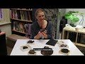 Detecting meteorites with Leanne