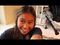 PENN STATE RENOVATED DORM MOVE IN VLOG (freshman year)