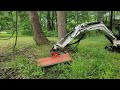 CREEKBANK MOWING WITH A TWIST! STRANGE HORRIZONTAL TREE AND A 250 YEAR OLD INDIAN TRAIL MARKER TREE!