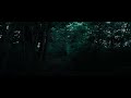 Breezy Summer Forest | Nature Soundscape White Noise (4k visuals)