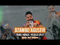 ORK. DZAMBO AGUSEVI - VESELO SPLET - TRUBE HORIJA  2022 - 33 min (cover)