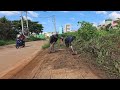 Transform Overgrown Grass Sidewalk. From Lush Jungle to Airy Path