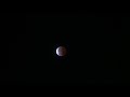 Blood Moon Partial Lunar Eclipse - 11/19/21