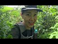 [Hiking] 강원 정선 가리왕산 나홀로 등산 | 한글 정상석으로 교체된 상봉⛰ 원시림이 살아있는 중봉⛰ | 회동리 코스 | 가리왕산 자연휴양림 | 산림청 100대명산