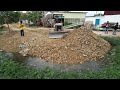 Nicely Lanfill in Flooded Pond!! Bulldozer D20A & Truck 5T Pushing Stone Into water