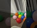 It took Zoe all Night to Blow up all these Balloons