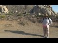 Joshua Tree National Park in summer