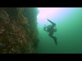 The Search for Tiny Young-of-the-Year Rockfish (Salish Sea Wild)