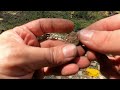 Metal detecting a small yard LOADED with silver and other relics!