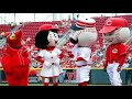 ⚾️ MLB All team mascots - (High Quality | 1080p) ⚾️