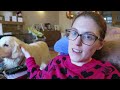 Weekly Vlog #131 - I'm an Auntie again!