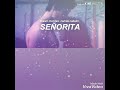 Camila Cabello ft shawn Mendez - señorita Lyrics traducida al español