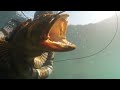 Spearfishing Monterey - Daniel Wolf