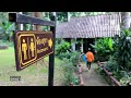 Sleep in Suzuki Swift [26] Monta Than Waterfall | Chiangmai,Thailand | Car Camping | [ ASMR ]