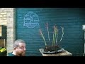 Making a Japanese Maple Bonsai Forest - Acer Palmatum