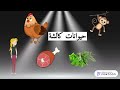 تصنيف الحيوانات حسب نوع الغذاء الذي تعيش عليه