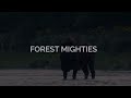 FOREST MIGHTIES - TRAILER