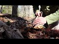 Back to the abyss exploring & metal detecting for old sites old NH forest day one