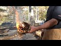 Charring and using mullein pith