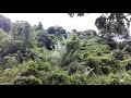 Beautiful jungle view of Kep National Park