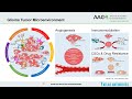 Glioma Biology and Molecular Markers