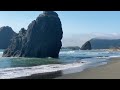 OREGON COAST Has GOLD in the Sand!