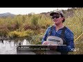 Can beavers save salmon in Oregon's high desert? | Oregon Field Guide