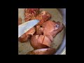 Fry an cook down chicken Jamaican home style cooking by Nico Mobay