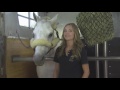 Loading Your Horses Featuring Amber Marshall