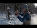 Grooming and Clearing Ski Trails with a Snowdog